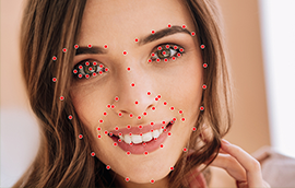 新城平台人脸关键点标注